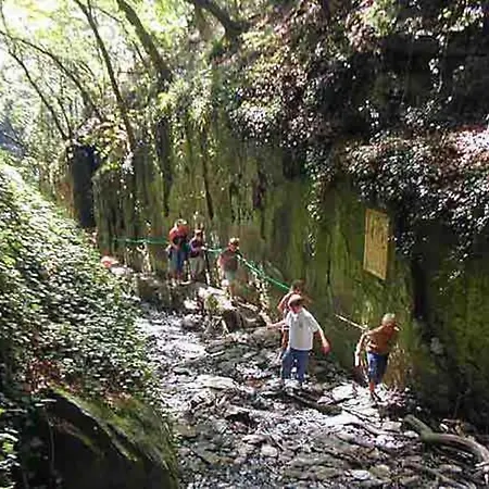 Appartamento Mitten In Und Doch Im Gruenen: Schoenes Und Modernes *