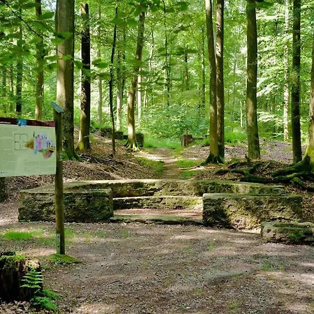 Mitten In Und Doch Im Gruenen: Schoenes Und Modernes