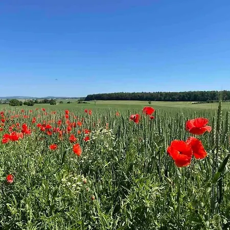 Apartamento Mitten In Und Doch Im Gruenen: Schoenes Und Modernes *
