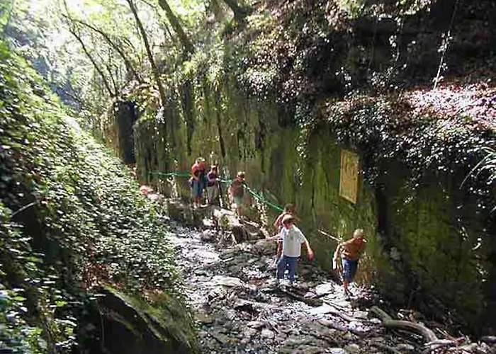 Apartament Mitten In Und Doch Im Gruenen: Schoenes Und Modernes *
