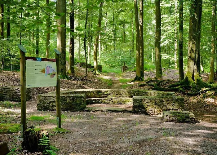 Mitten In Und Doch Im Gruenen: Schoenes Und Modernes