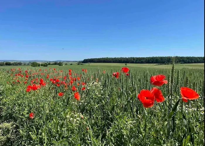 Apartament Mitten In Und Doch Im Gruenen: Schoenes Und Modernes *